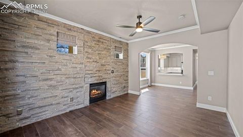 Tiny photo for 4253 Alder Springs View, Colorado Springs, CO 80922 (MLS # 9081052)