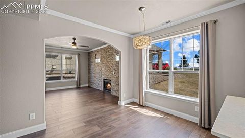 Tiny photo for 4253 Alder Springs View, Colorado Springs, CO 80922 (MLS # 9081052)