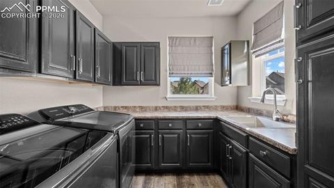 Tiny photo for 4253 Alder Springs View, Colorado Springs, CO 80922 (MLS # 9081052)