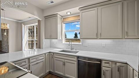 Tiny photo for 4253 Alder Springs View, Colorado Springs, CO 80922 (MLS # 9081052)