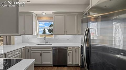 Tiny photo for 4253 Alder Springs View, Colorado Springs, CO 80922 (MLS # 9081052)