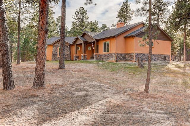 14994 Snowy Pine Point