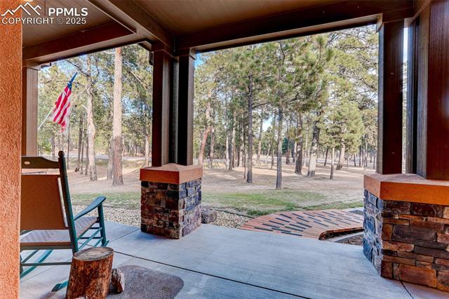 14994 Snowy Pine Point