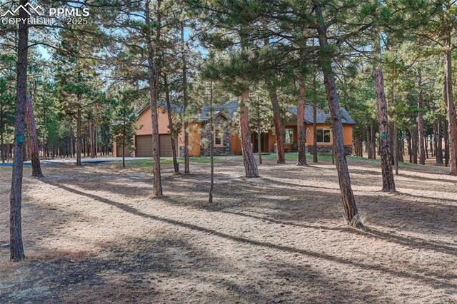 14994 Snowy Pine Point