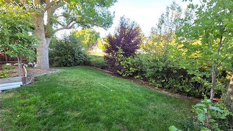 Tiny photo for 7231 S Webster Street, Littleton, CO 80128 (MLS # 3691006)