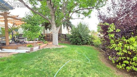 Tiny photo for 7231 S Webster Street, Littleton, CO 80128 (MLS # 3691006)