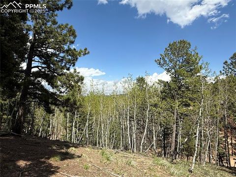 62 Hadatsa Lane Woodland Park CO 80863