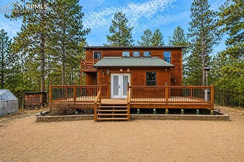 Photo of 31 Wallace Drive, Florissant, CO 80816 (MLS # 8798733)