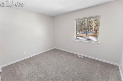 Tiny photo for 685 Sunnywood Loop, Woodland Park, CO 80863 (MLS # 4008107)
