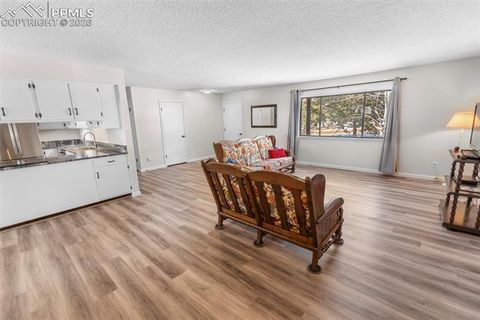 Tiny photo for 685 Sunnywood Loop, Woodland Park, CO 80863 (MLS # 4008107)
