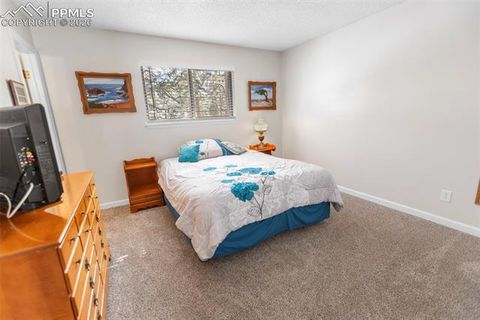 Tiny photo for 685 Sunnywood Loop, Woodland Park, CO 80863 (MLS # 4008107)