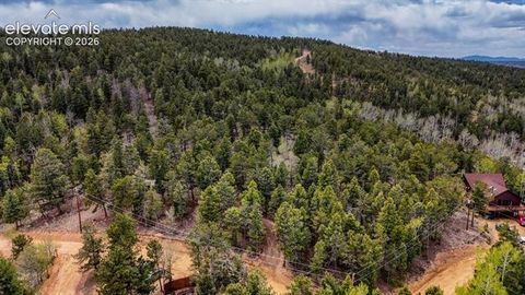 Photo of 259 Potlatch Trail, Woodland Park, CO 80863 (MLS # 9679800)