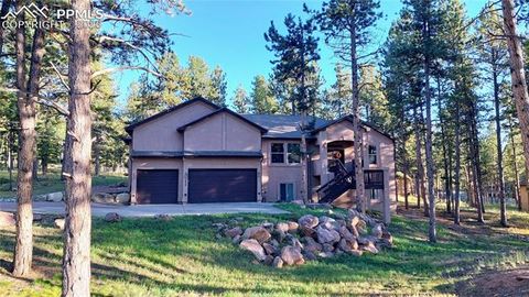 Photo of 1020 Parkway Lane, Woodland Park, CO 80863 (MLS # 5098731)