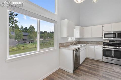 Tiny photo for 780 Columbine Village Drive #C, Woodland Park, CO 80863 (MLS # 6623375)