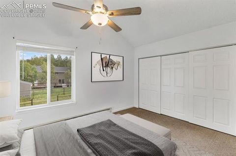 Tiny photo for 780 Columbine Village Drive #C, Woodland Park, CO 80863 (MLS # 6623375)