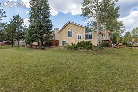 Tiny photo for 780 Columbine Village Drive #C, Woodland Park, CO 80863 (MLS # 6623375)