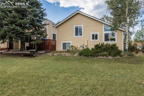 Tiny photo for 780 Columbine Village Drive #C, Woodland Park, CO 80863 (MLS # 6623375)