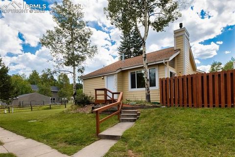 Tiny photo for 780 Columbine Village Drive #C, Woodland Park, CO 80863 (MLS # 6623375)
