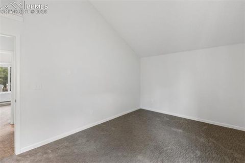 Tiny photo for 780 Columbine Village Drive #C, Woodland Park, CO 80863 (MLS # 6623375)
