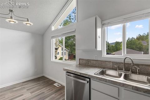 Tiny photo for 780 Columbine Village Drive #C, Woodland Park, CO 80863 (MLS # 6623375)
