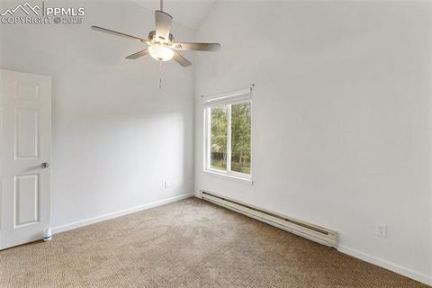 Tiny photo for 780 Columbine Village Drive #C, Woodland Park, CO 80863 (MLS # 6623375)