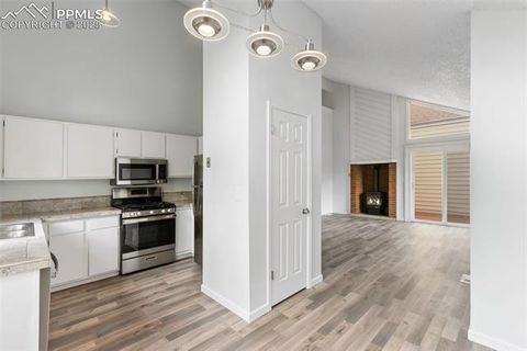 Tiny photo for 780 Columbine Village Drive #C, Woodland Park, CO 80863 (MLS # 6623375)