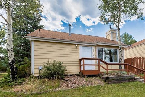 Tiny photo for 780 Columbine Village Drive #C, Woodland Park, CO 80863 (MLS # 6623375)