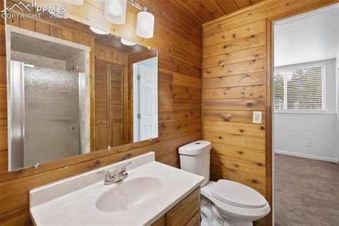 Tiny photo for 780 Columbine Village Drive #C, Woodland Park, CO 80863 (MLS # 6623375)