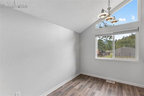 Tiny photo for 780 Columbine Village Drive #C, Woodland Park, CO 80863 (MLS # 6623375)