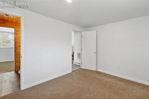 Tiny photo for 780 Columbine Village Drive #C, Woodland Park, CO 80863 (MLS # 6623375)