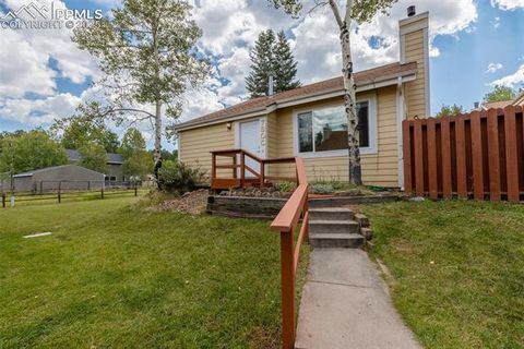 Photo of 780 Columbine Village Drive #C, Woodland Park, CO 80863 (MLS # 6623375)