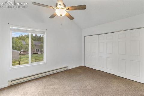 Tiny photo for 780 Columbine Village Drive #C, Woodland Park, CO 80863 (MLS # 6623375)