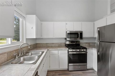 Tiny photo for 780 Columbine Village Drive #C, Woodland Park, CO 80863 (MLS # 6623375)