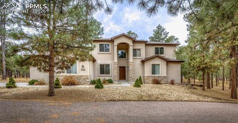Photo of 10916 Silver Mountain Point, Colorado Springs, CO 80908 (MLS # 7530115)