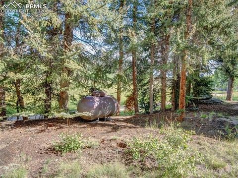 Tiny photo for 534 Brook Drive, Lake George, CO 80827 (MLS # 5591089)