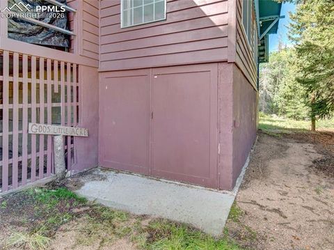Tiny photo for 534 Brook Drive, Lake George, CO 80827 (MLS # 5591089)
