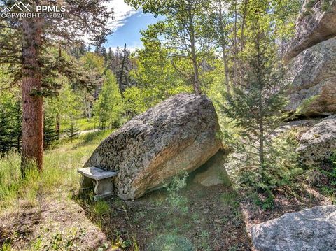Tiny photo for 534 Brook Drive, Lake George, CO 80827 (MLS # 5591089)