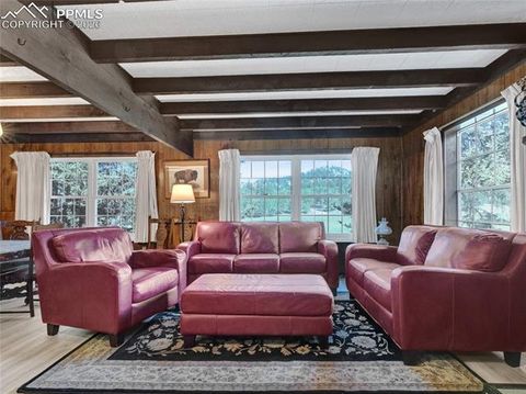 Tiny photo for 534 Brook Drive, Lake George, CO 80827 (MLS # 5591089)