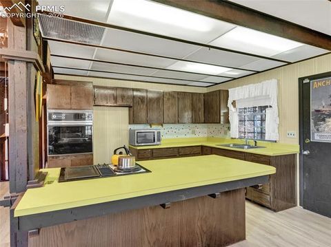 Tiny photo for 534 Brook Drive, Lake George, CO 80827 (MLS # 5591089)