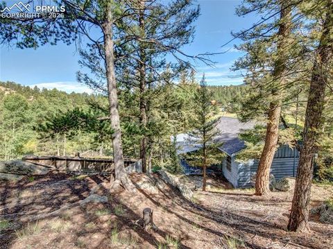 Tiny photo for 534 Brook Drive, Lake George, CO 80827 (MLS # 5591089)