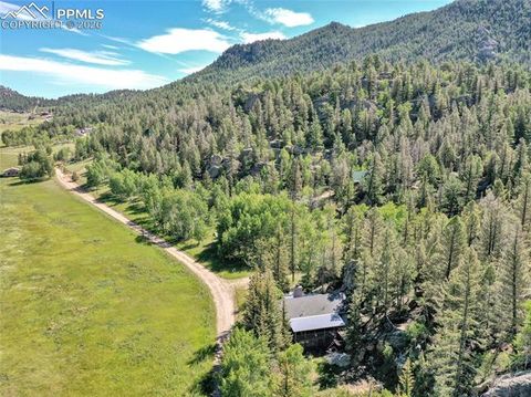Tiny photo for 534 Brook Drive, Lake George, CO 80827 (MLS # 5591089)