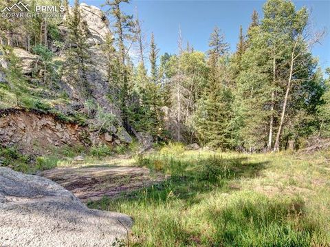 Tiny photo for 534 Brook Drive, Lake George, CO 80827 (MLS # 5591089)