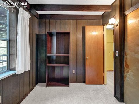 Tiny photo for 534 Brook Drive, Lake George, CO 80827 (MLS # 5591089)