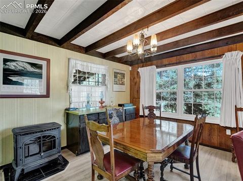 Tiny photo for 534 Brook Drive, Lake George, CO 80827 (MLS # 5591089)