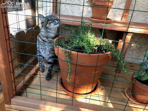 Tiny photo for 1295 Vondelpark Drive #A, Colorado Springs, CO 80907 (MLS # 5951970)