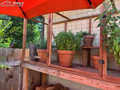 Tiny photo for 1295 Vondelpark Drive #A, Colorado Springs, CO 80907 (MLS # 5951970)