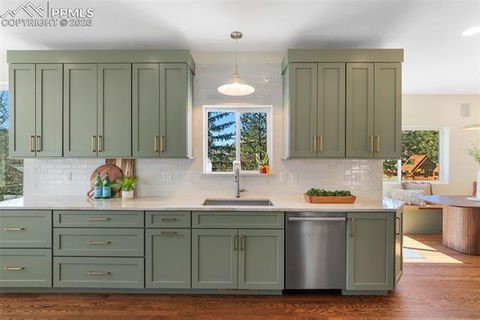 Tiny photo for 120 Red Clover Court, Woodland Park, CO 80863 (MLS # 1792318)