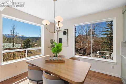 Tiny photo for 120 Red Clover Court, Woodland Park, CO 80863 (MLS # 1792318)