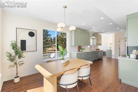 Tiny photo for 120 Red Clover Court, Woodland Park, CO 80863 (MLS # 1792318)