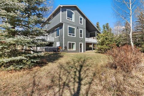 Tiny photo for 120 Red Clover Court, Woodland Park, CO 80863 (MLS # 1792318)